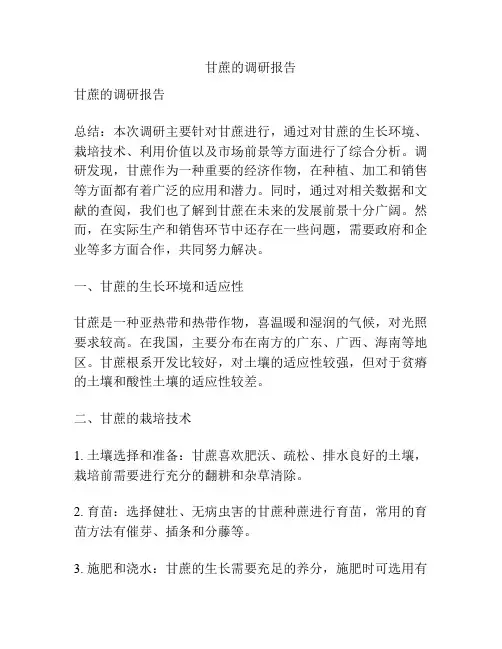 甘蔗的调研报告