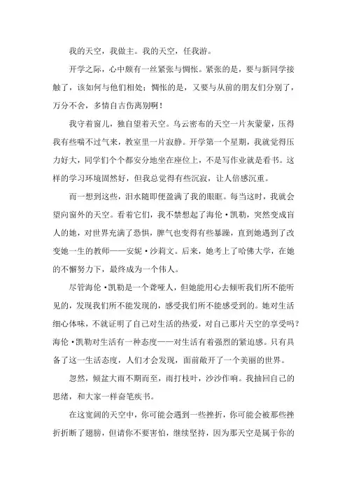 那片属于我的天空作文初三600字