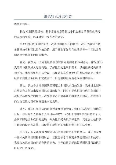 组长转正总结报告