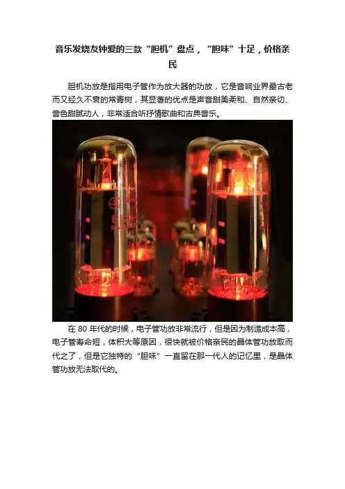 音乐发烧友钟爱的三款“胆机”盘点，“胆味”十足，价格亲民