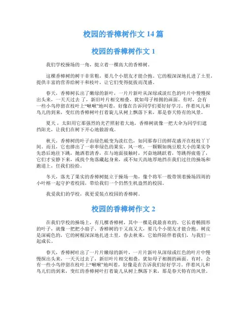 校园的香樟树作文14篇
