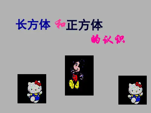 人教版《长方体和正方体》ppt课件26(共17张PPT)