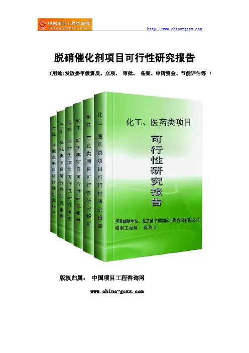 脱硝催化剂项目可行性研究报告(专业经典案例)