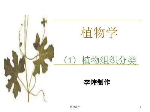 《植物学1植物组织》PPT课件