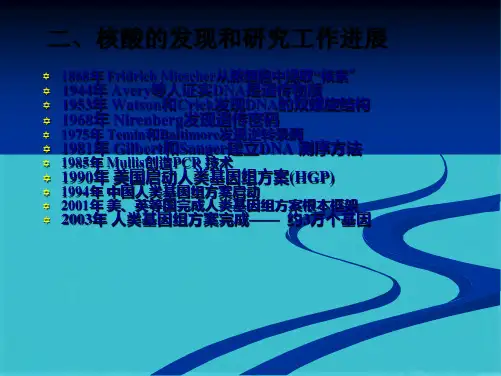 核酸结构与功能(共43张PPT)