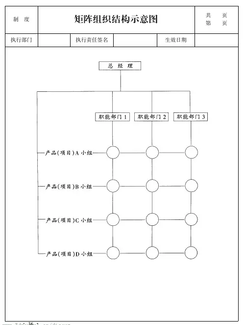 矩阵组织结构示意图