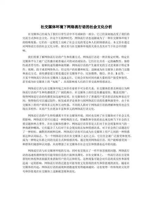 社交媒体环境下网络流行语的社会文化分析