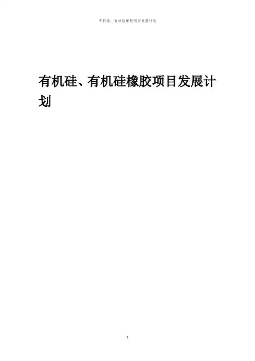 2024年有机硅、有机硅橡胶项目发展计划