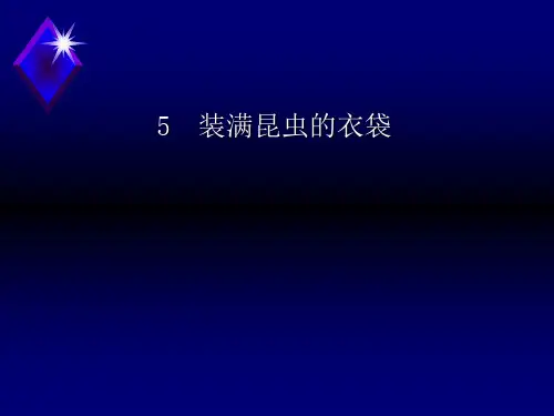 五年级上册语文课件5 装满昆虫的衣袋｜苏教版 (共32张PPT)