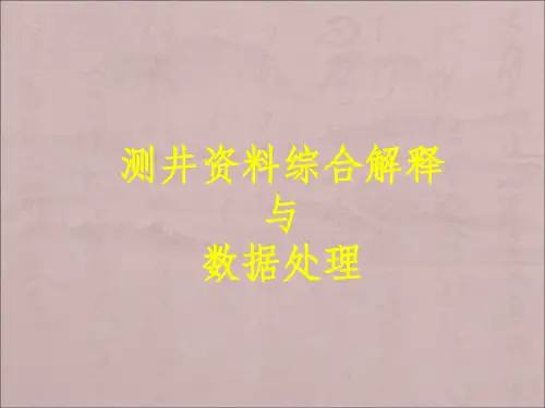 测井综合解释及数据处理