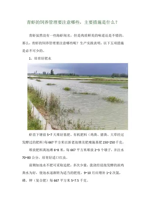 青虾的饲养管理要注意哪些,主要措施是什么？