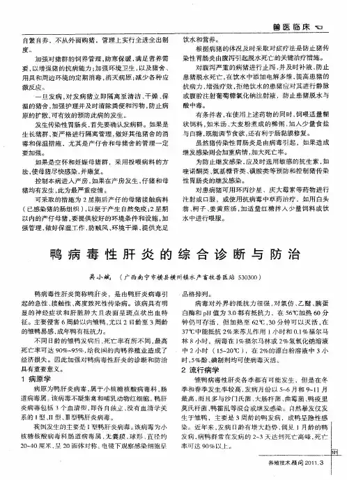 鸭病毒性肝炎的综合诊断与防治
