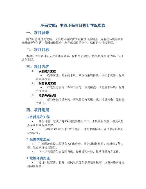 环保实践：生态环保项目执行情况报告