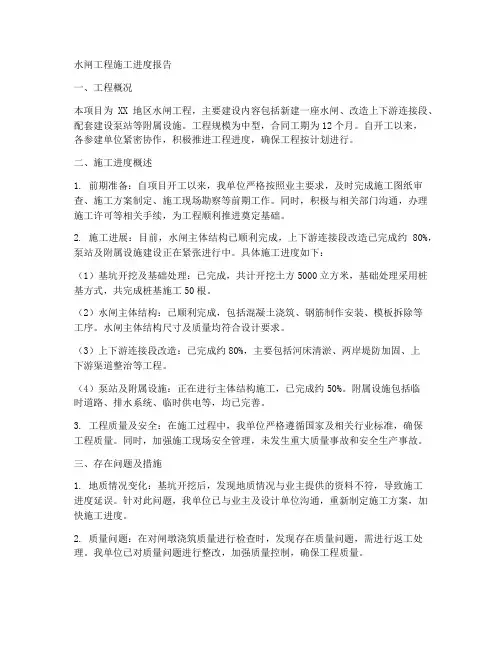 水闸工程施工进度报告