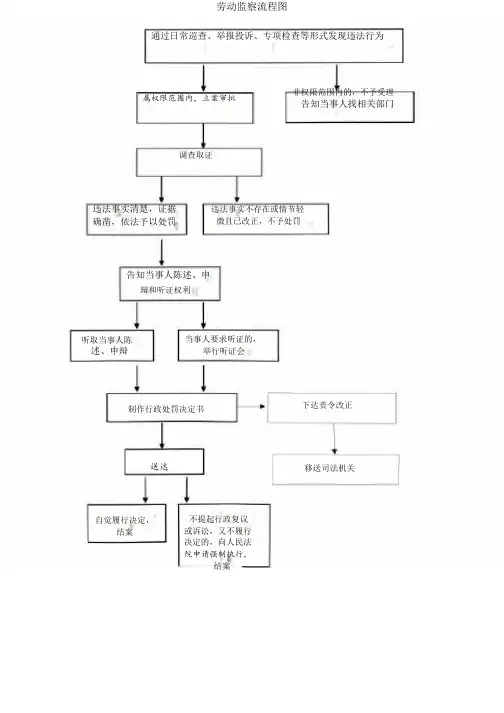 劳动监察流程图