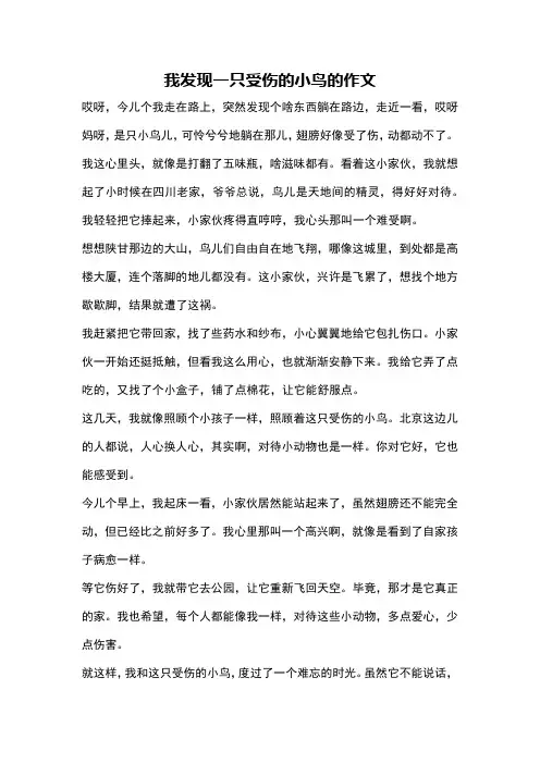 我发现一只受伤的小鸟的作文