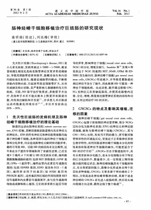 肠神经嵴干细胞移植治疗巨结肠的研究现状