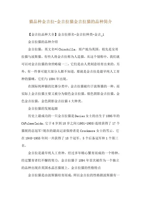 猫品种金吉拉-金吉拉猫金吉拉猫的品种简介