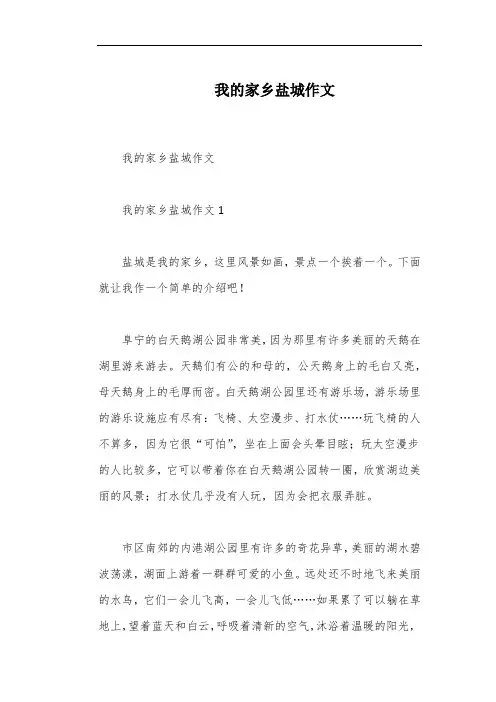 我的家乡盐城作文