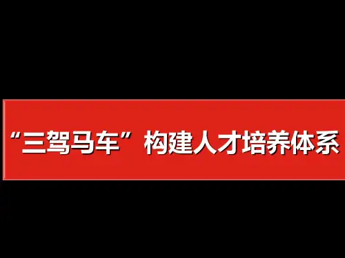 三驾马车”构建人才培养体系精品资料