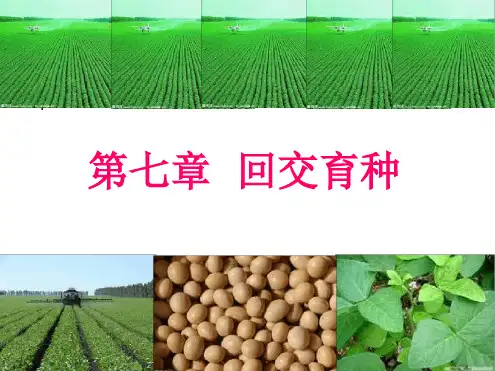 第七章 回交育种要点