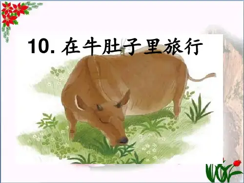 人教部编版三年级语文上册.在牛肚子里旅行 PPT 优秀课件