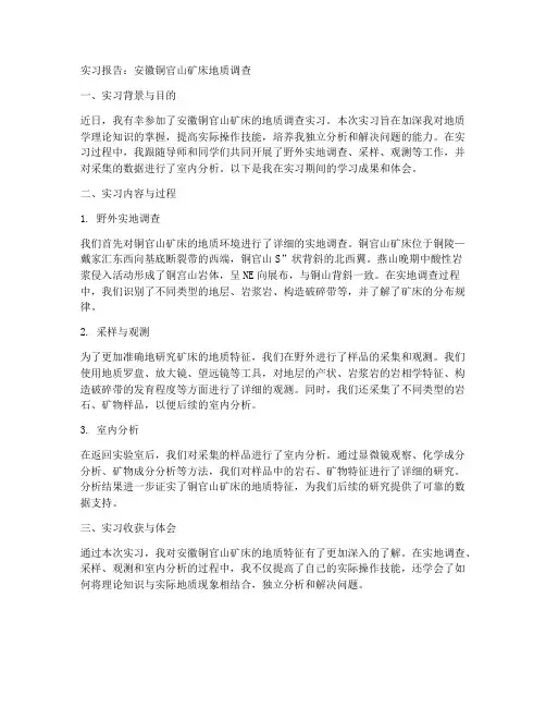 安徽铜官山矿床实习报告