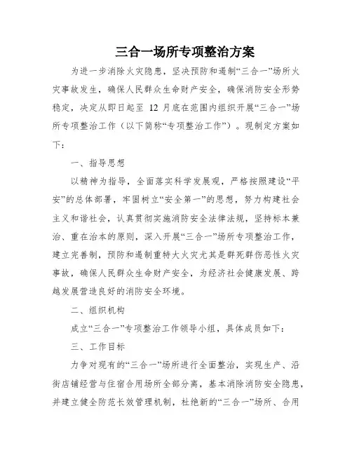 三合一场所专项整治方案
