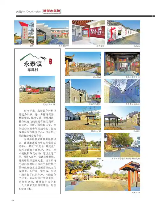 樟树市集锦