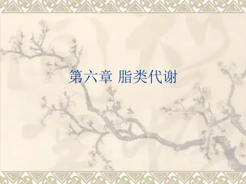 第六章_脂类代谢