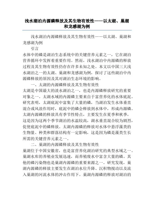 浅水湖泊内源磷释放及其生物有效性——以太湖、巢湖和龙感湖为例