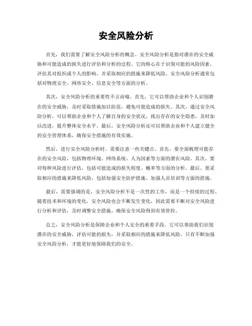 安全风险分析