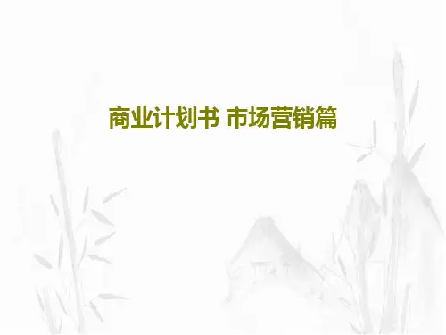 商业计划书 市场营销篇15页PPT