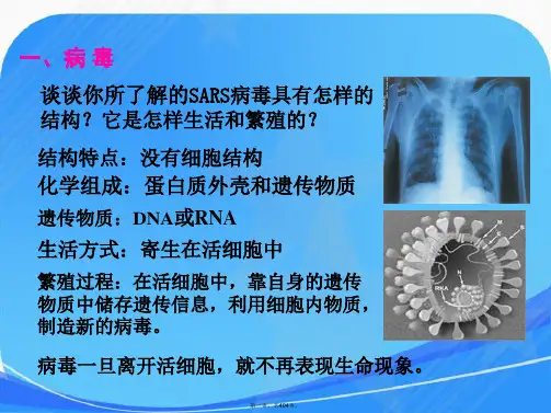 高中生物必修一全册教材课件
