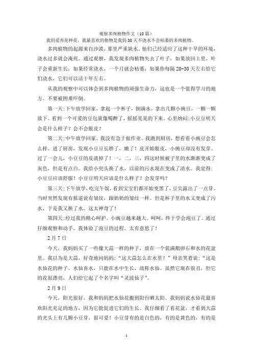 观察多肉植物作文(10篇)