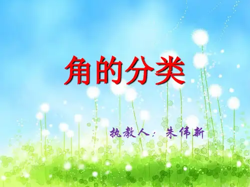 角的分类(ppt课件)