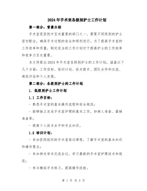 2024年手术室各级别护士工作计划