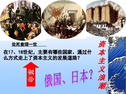 34俄国和日本的改革PPT课件