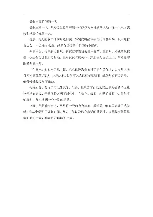 《暑假里最忙碌的一天》精选作文
