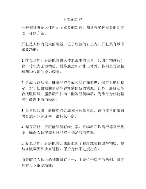 肝肾的功能