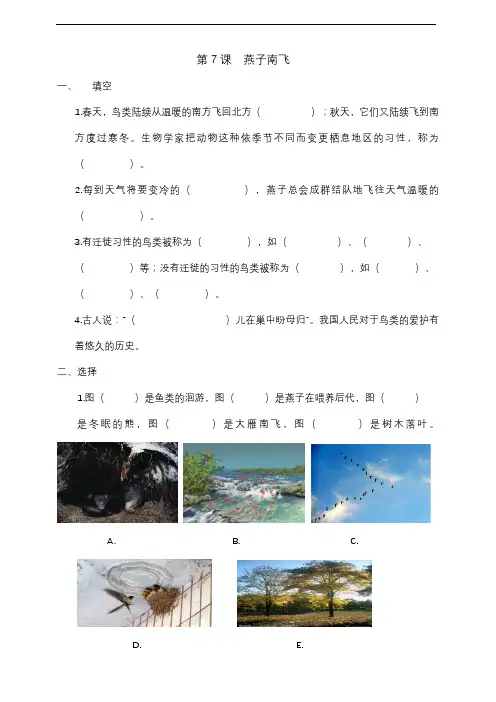 2021年冀人版三年级科学下册 7.燕子南飞  同步练习附答案