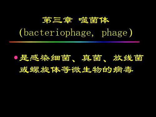 第3.4章噬菌体细菌遗传与变异