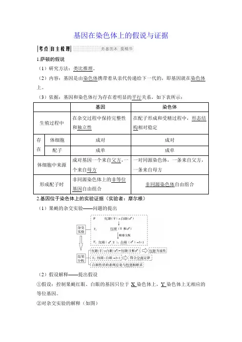 基因在染色体上的假说与证据