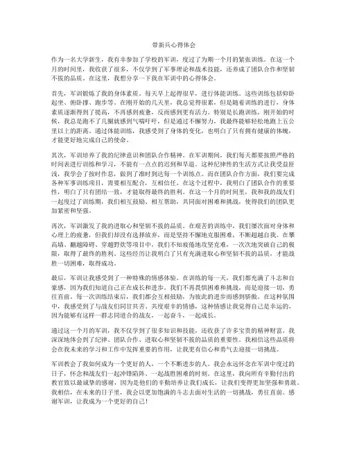 带新兵心得体会