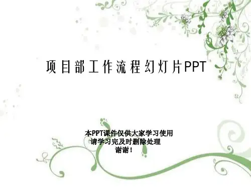 项目部工作流程幻灯片PPT