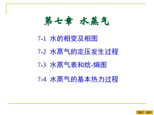 第七章 水蒸气
