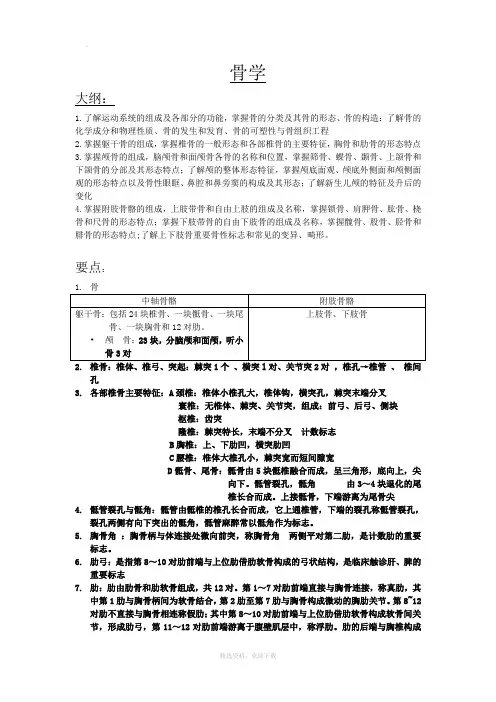 骨学知识点归纳