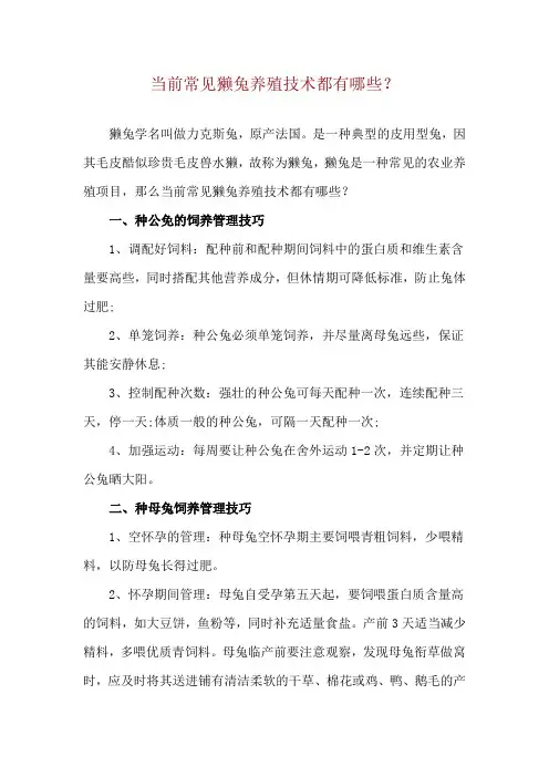 当前常见獭兔养殖技术都有哪些？