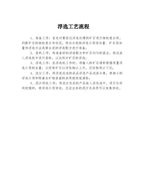 浮选工艺流程