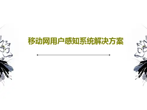 移动网用户感知系统解决方案24页PPT